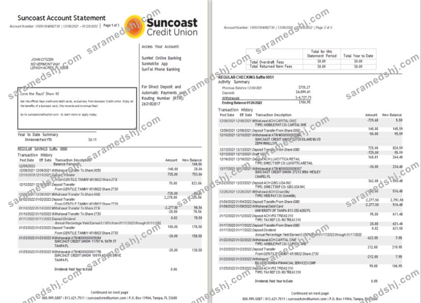 USA Suncoast bank statement Word and PDF template 1-2